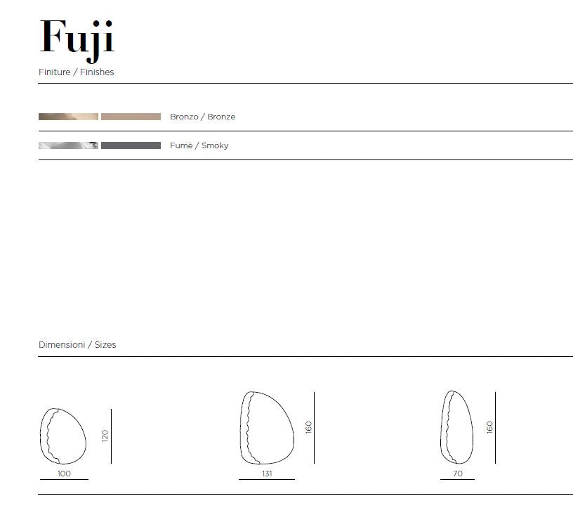 Fuji tükör
